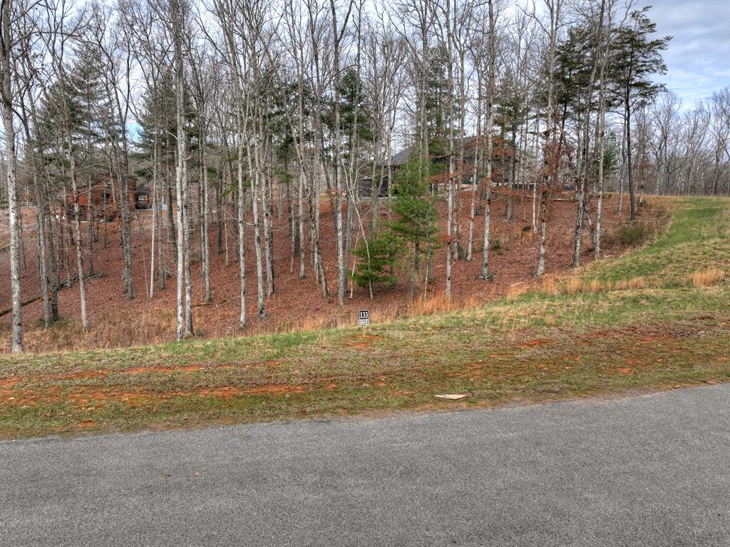 Lot 133 Ridges Of Blue Ridge Morganton, GA 30560 - Photo 22 of 36 a view of a backyard of a building