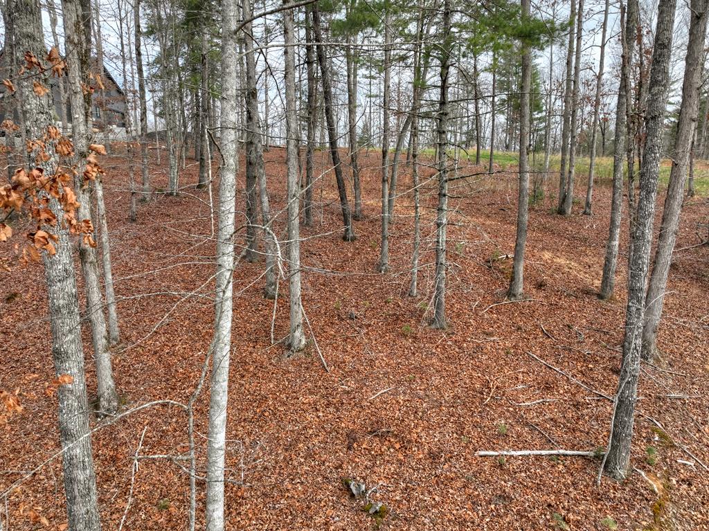 Lot 133 Ridges Of Blue Ridge Morganton, GA 30560 - Photo 23 of 36
