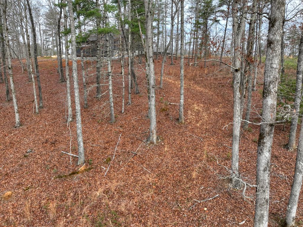 Lot 133 Ridges Of Blue Ridge Morganton, GA 30560 - Photo 24 of 36 a backyard of a house with lots of green space