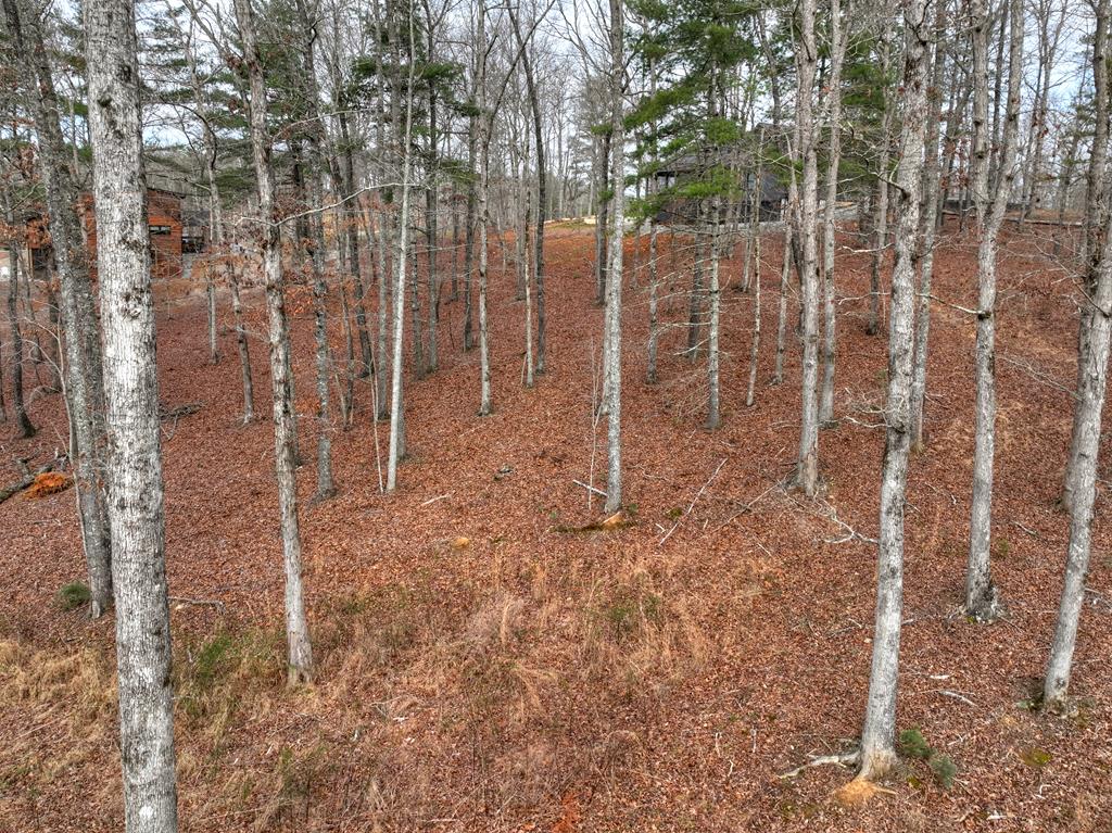 Lot 133 Ridges Of Blue Ridge Morganton, GA 30560 - Photo 25 of 36