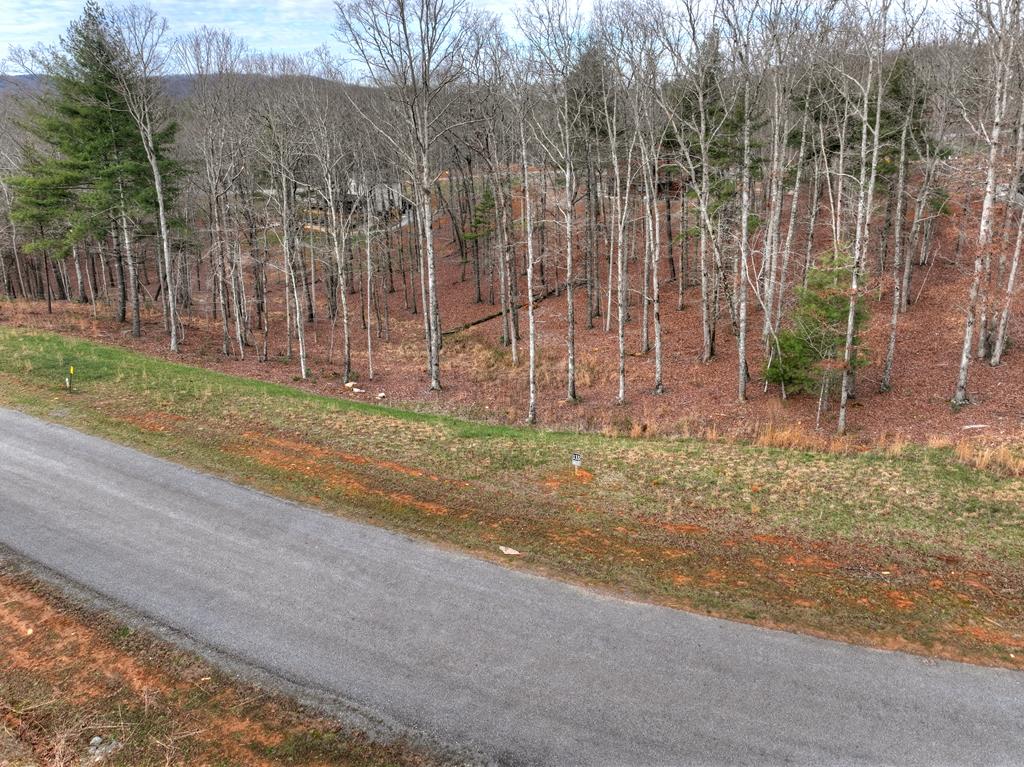 Lot 133 Ridges Of Blue Ridge Morganton, GA 30560 - Photo 26 of 36 a backyard of a house with lots of green space and plants