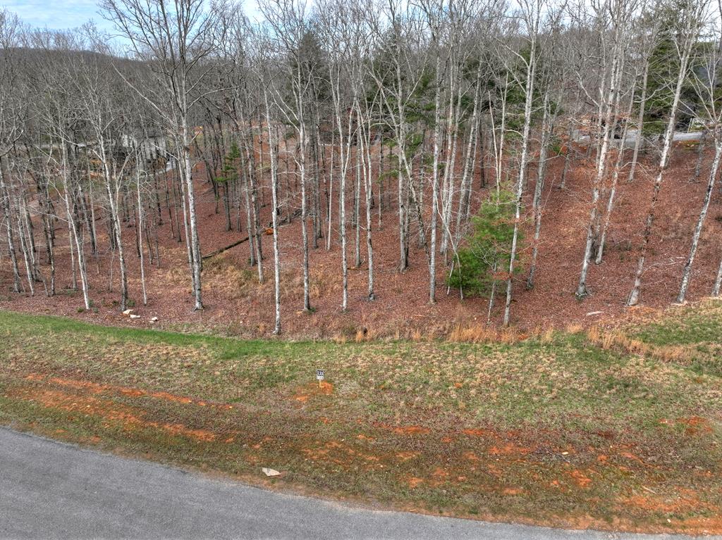 Lot 133 Ridges Of Blue Ridge Morganton, GA 30560 - Photo 27 of 36 a backyard of a house with lots of green space