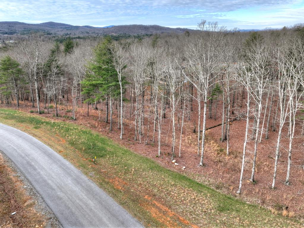 Lot 133 Ridges Of Blue Ridge Morganton, GA 30560 - Photo 28 of 36 a view of a yard with wooden fence