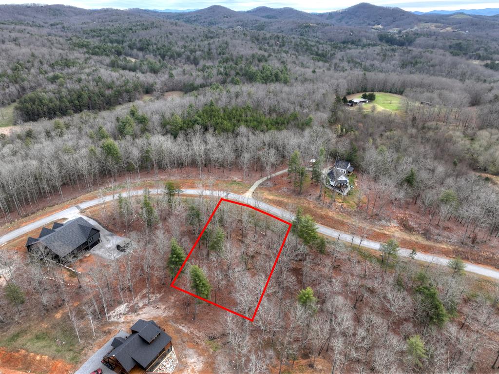 Lot 133 Ridges Of Blue Ridge Morganton, GA 30560 - Photo 29 of 36 a view of a lake in middle of the town