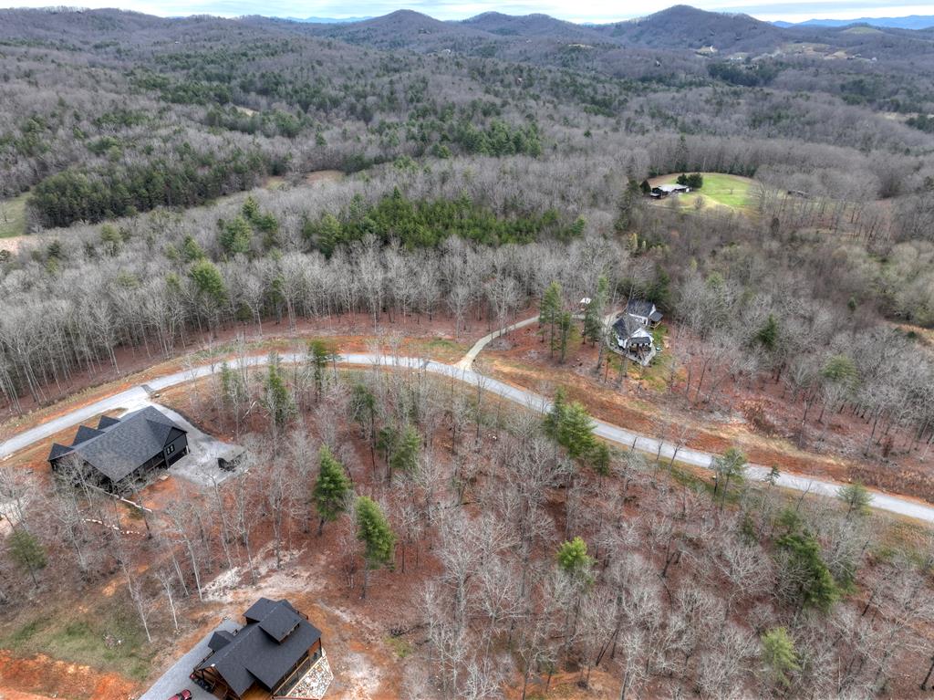 Lot 133 Ridges Of Blue Ridge Morganton, GA 30560 - Photo 30 of 36 a view of a lake with mountains in the background
