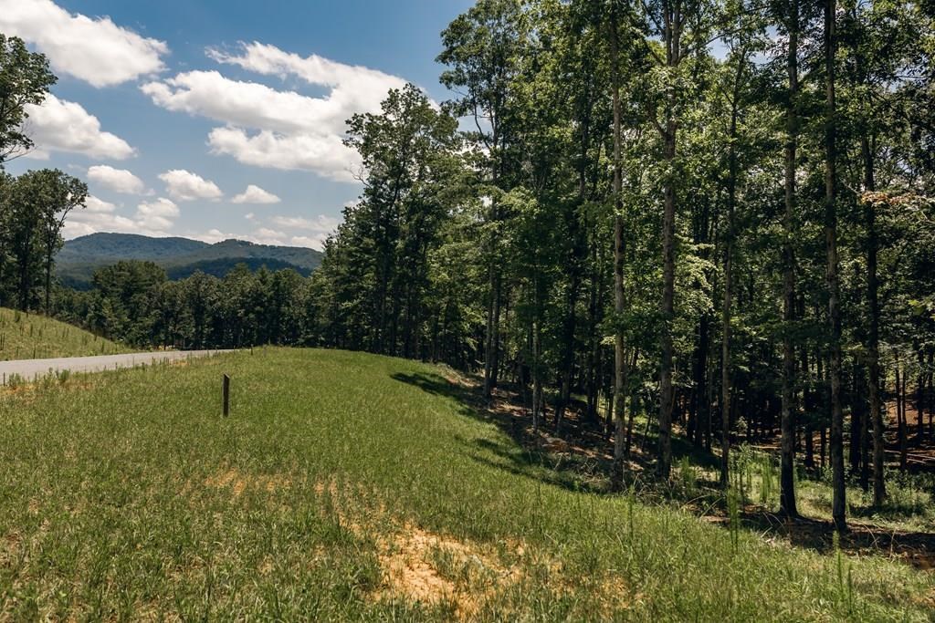 Lot 133 Ridges Of Blue Ridge Morganton, GA 30560 - Photo 3 of 36 a view of outdoor space and yard