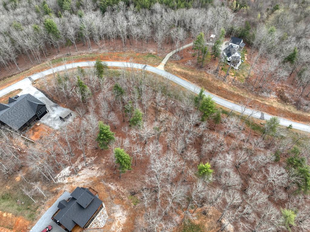 Lot 133 Ridges Of Blue Ridge Morganton, GA 30560 - Photo 31 of 36 a view of a tree with a yard