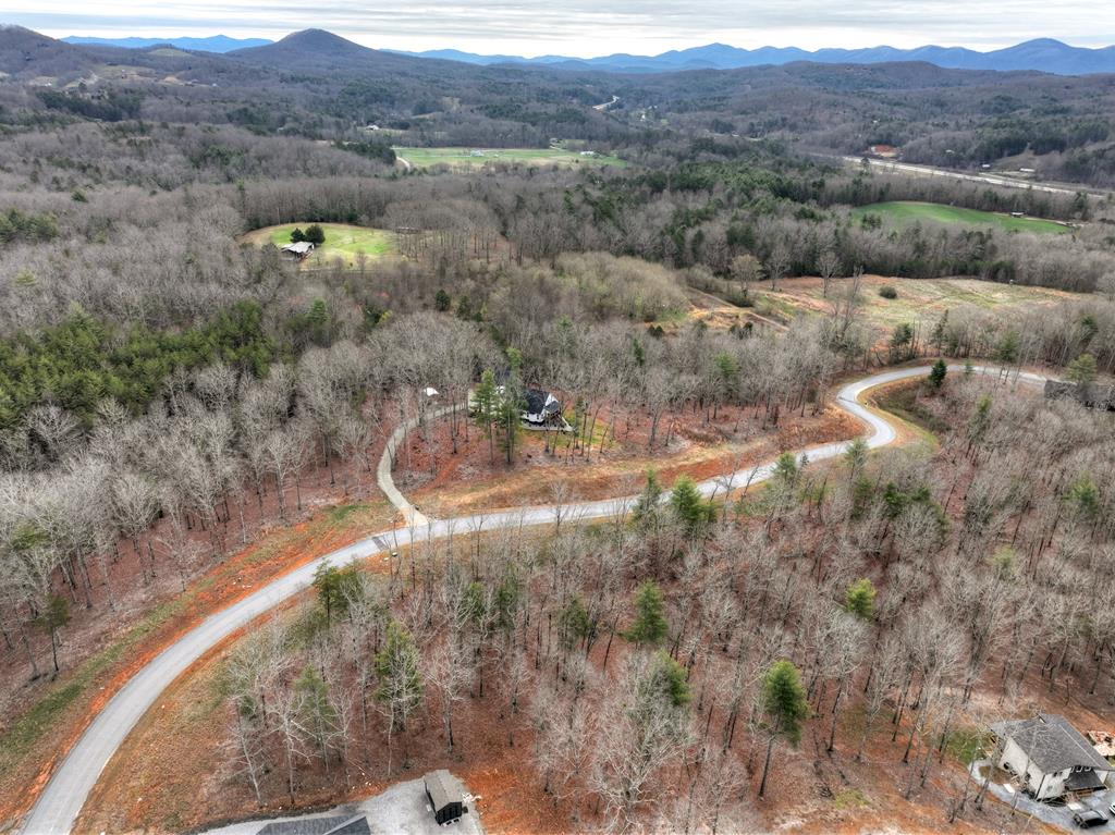 Lot 133 Ridges Of Blue Ridge Morganton, GA 30560 - Photo 32 of 36 a view of a valley