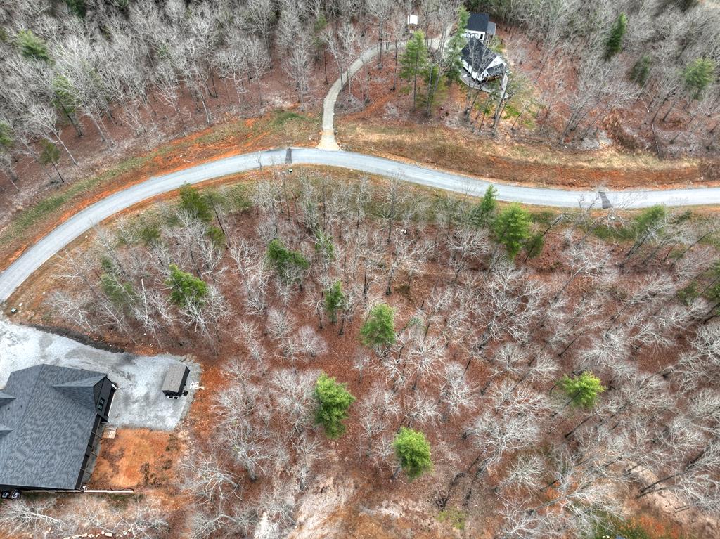 Lot 133 Ridges Of Blue Ridge Morganton, GA 30560 - Photo 33 of 36 a view of a yard with a tree