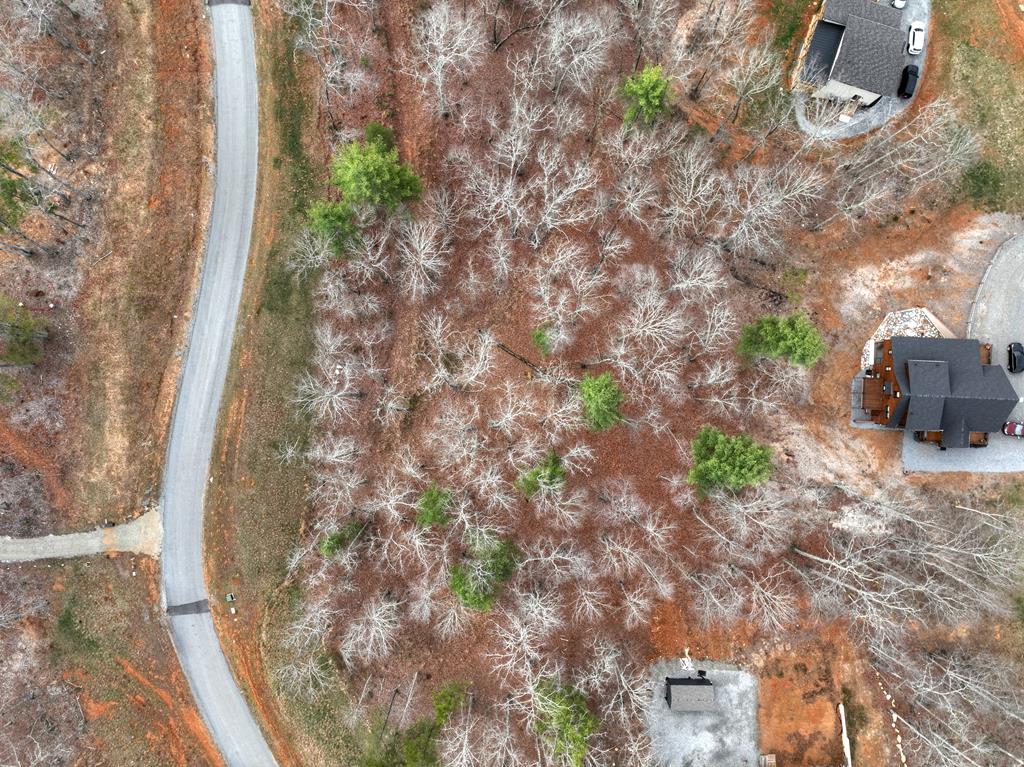 Lot 133 Ridges Of Blue Ridge Morganton, GA 30560 - Photo 34 of 36 a view of a back yard