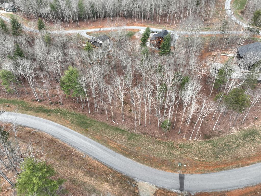 Lot 133 Ridges Of Blue Ridge Morganton, GA 30560 - Photo 35 of 36 a view of a yard with large trees
