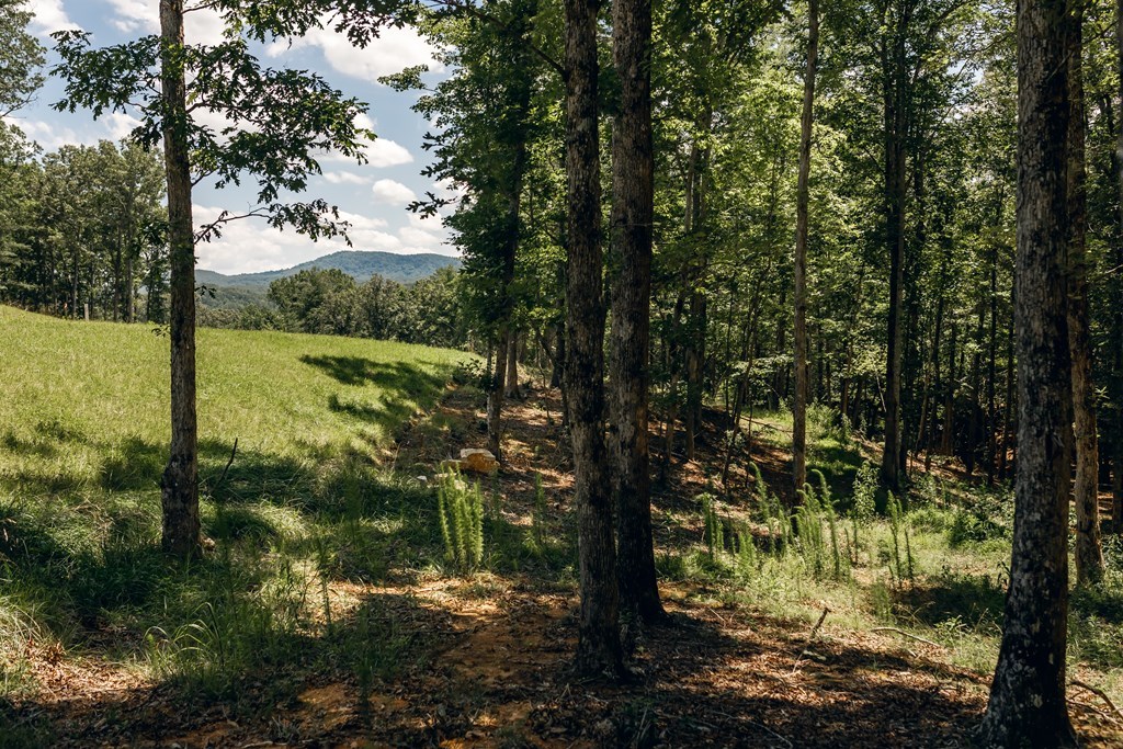 Lot 133 Ridges Of Blue Ridge Morganton, GA 30560 - Photo 4 of 36 a view of a lake from a yard