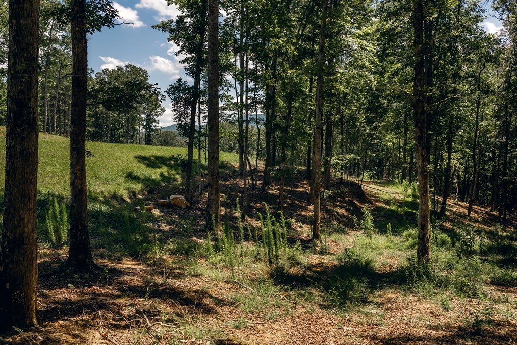 Lot 133 Ridges Of Blue Ridge Morganton, GA 30560 - Photo 5 of 36 a view of a garden