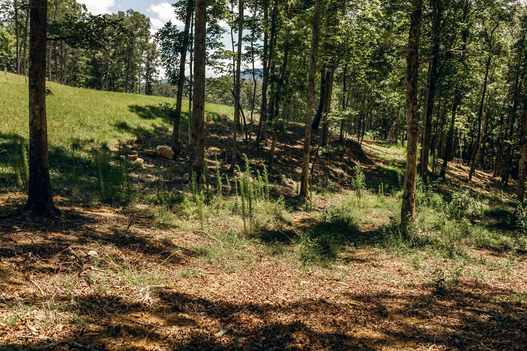 Lot 133 Ridges Of Blue Ridge Morganton, GA 30560 - Photo 6 of 36 a view of outdoor space and yard