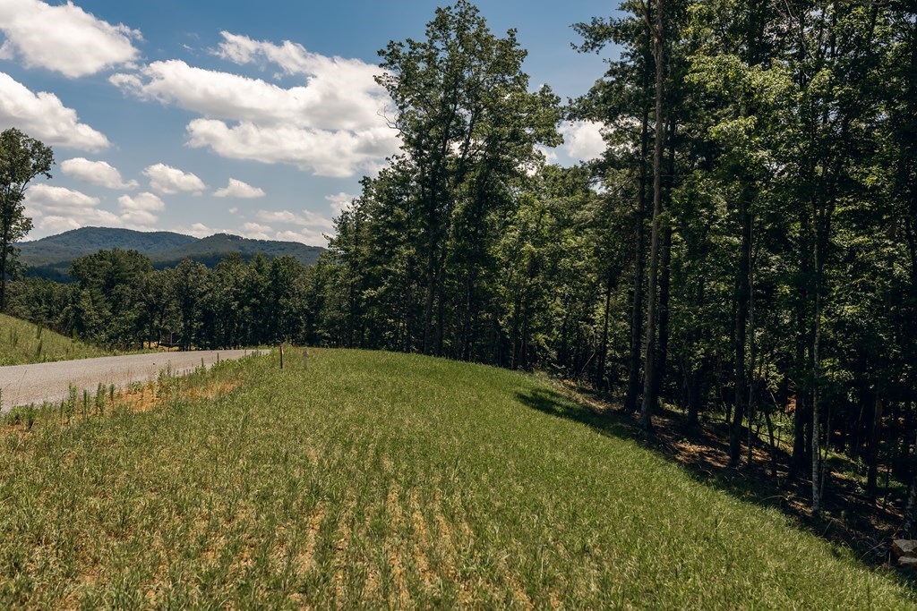Lot 133 Ridges Of Blue Ridge Morganton, GA 30560 - Photo 10 of 36 a view of a backyard with swimming pool