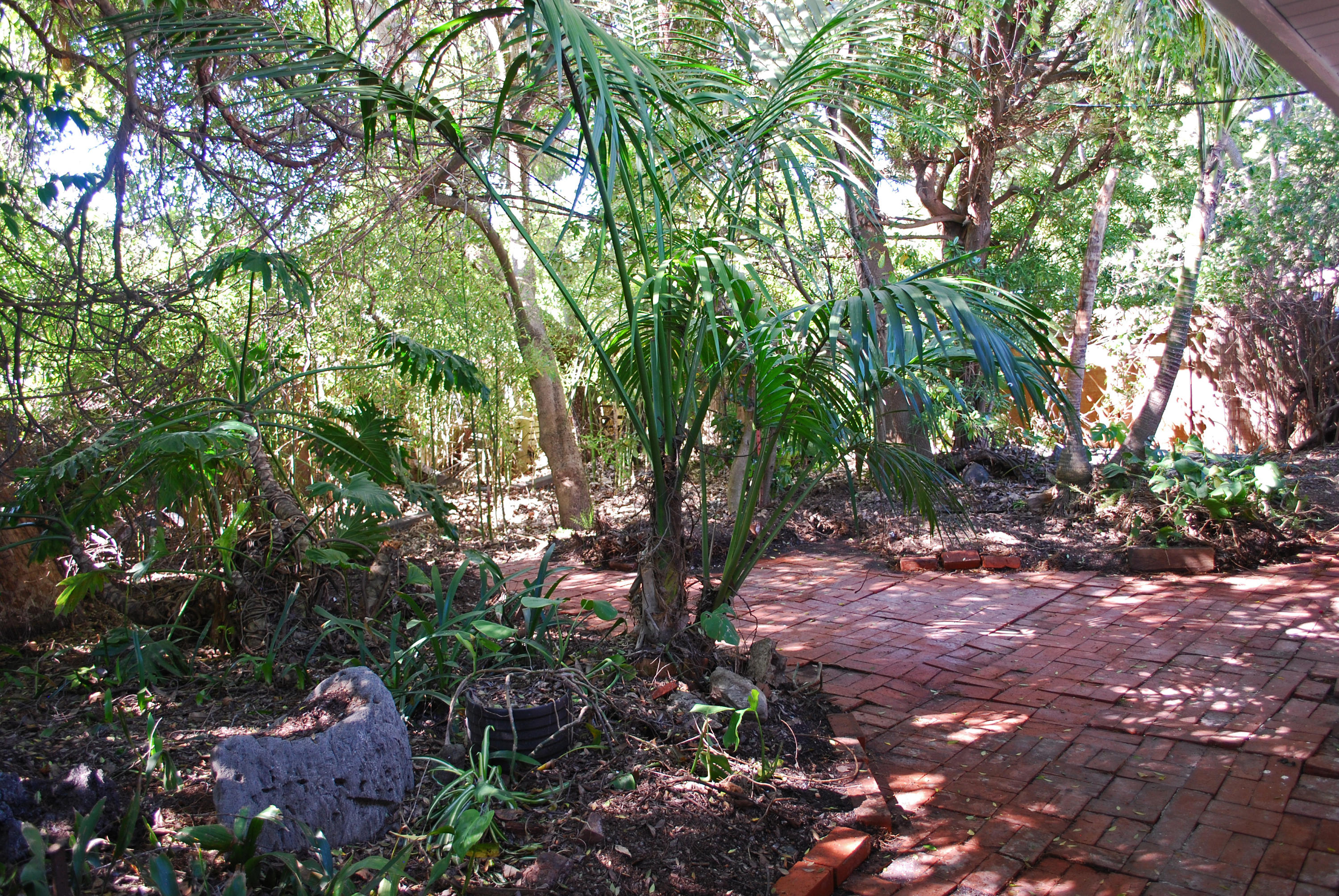 83 Cardinal Avenue Goleta, CA 93117 - Photo 17 of 17 a view of a tree in a backyard