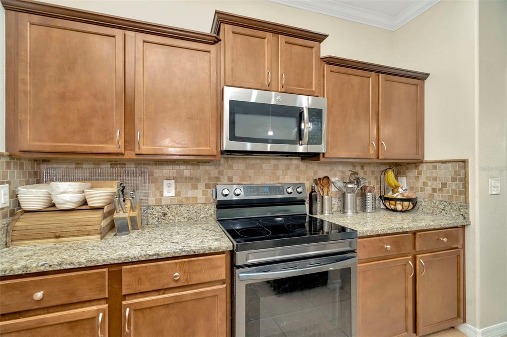 313 Shell Manor Drive Ruskin, FL 33570 - Photo 7 of 47