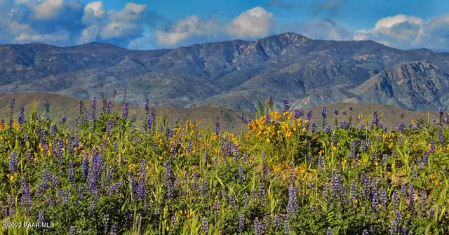 a vase of flowers sitting on a table