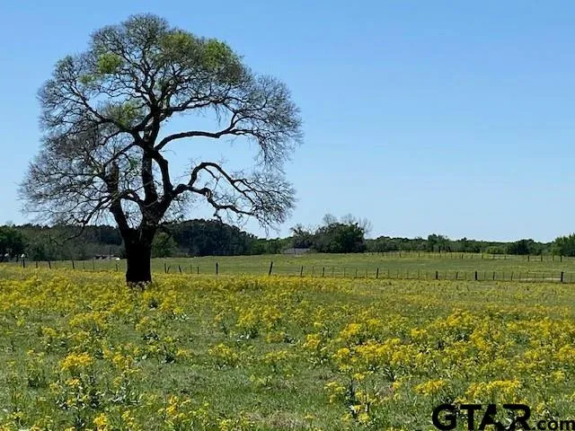 a view of outdoor space with garden and trees