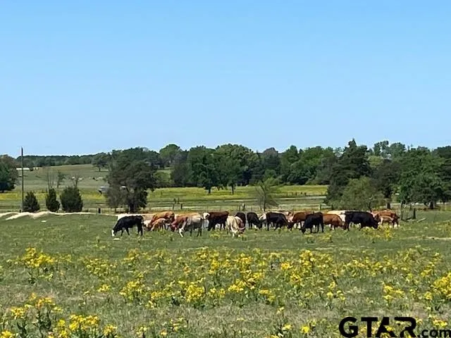 a view of a lake with outdoor space