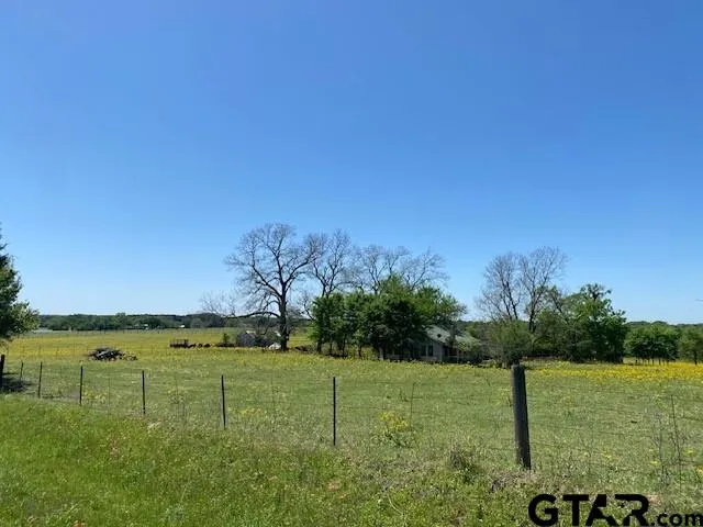 a view of a grassy area with an trees