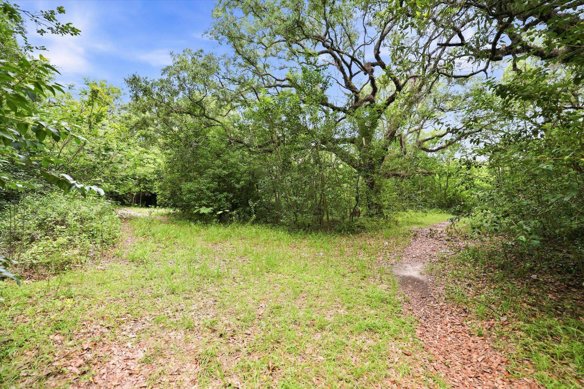 1612 Old Bainbridge Road Tallahassee, FL 32303 - Photo 2 of 43