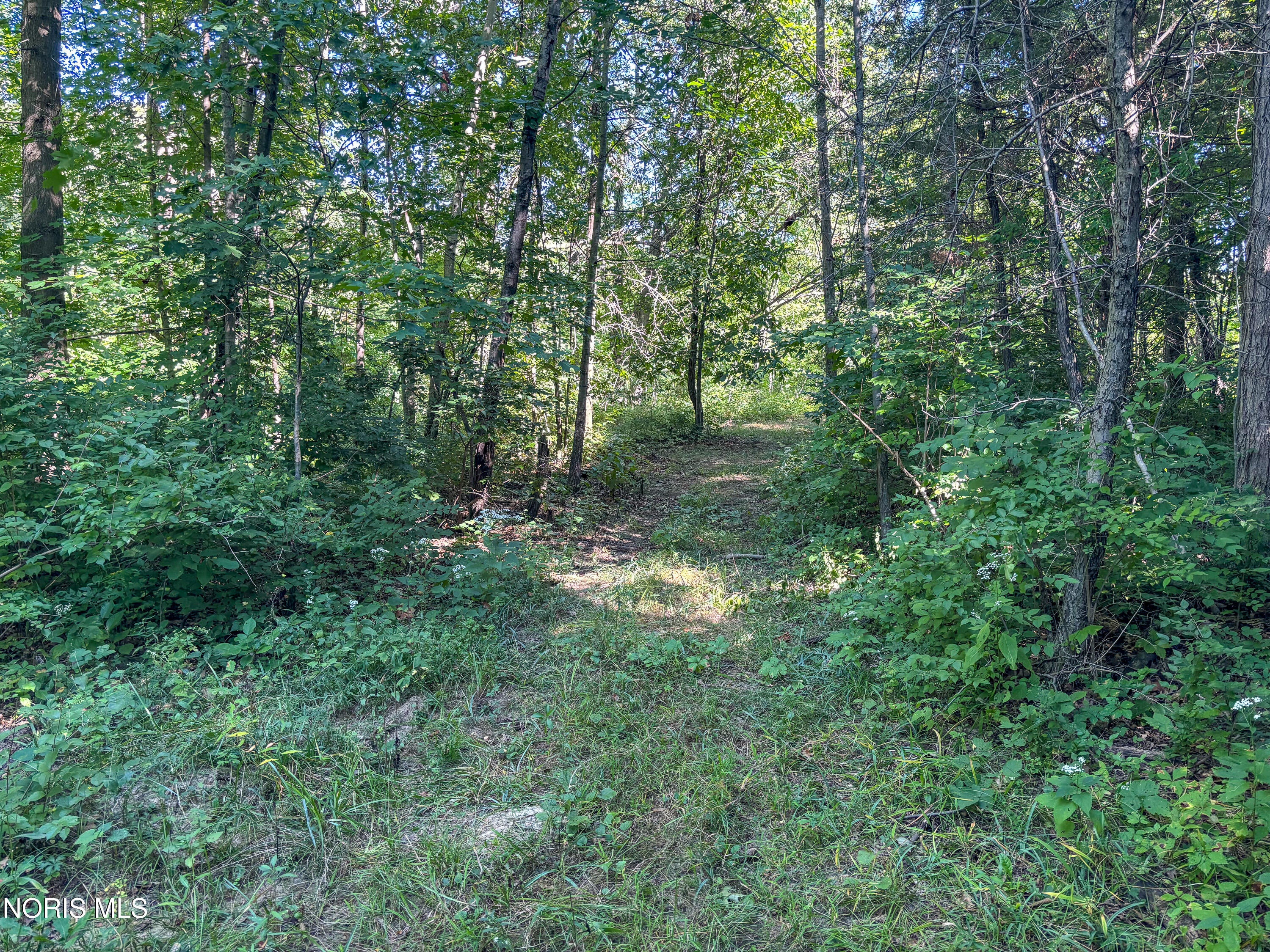 0 Evansport Road Defiance, OH 43512 - Photo 13 of 27 Gallery Image 13