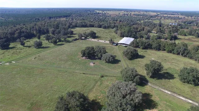 an aerial view of a house with a yard and large trees