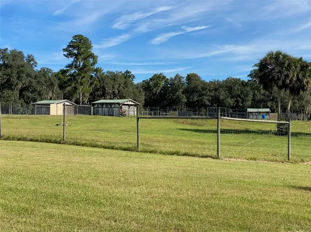 a view of a park with large trees