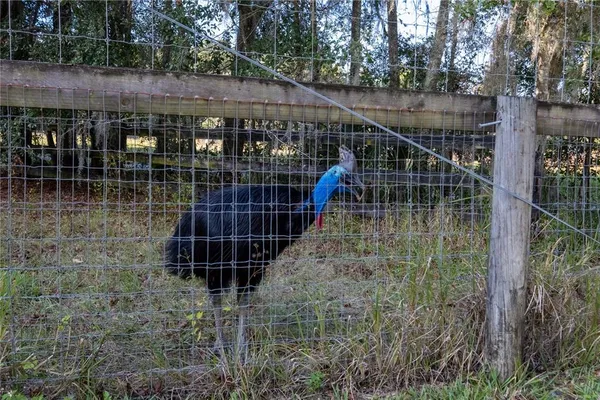 $12,500,000 | 19350 Northwest 123rd Court, Micanopy, FL 32667