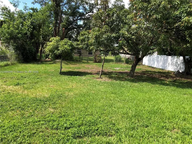 a view of a park with a tree
