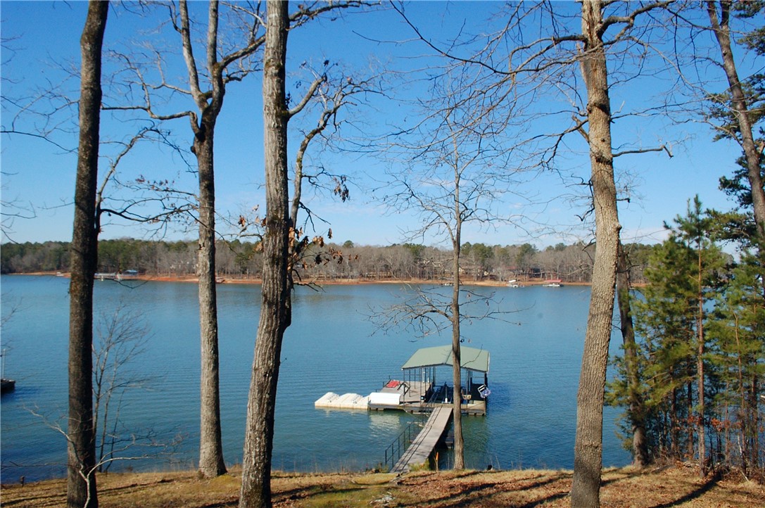 991 Shelor Ferry Road Fair Play, SC 29643 - Photo 2 of 21 Gallery Image 2