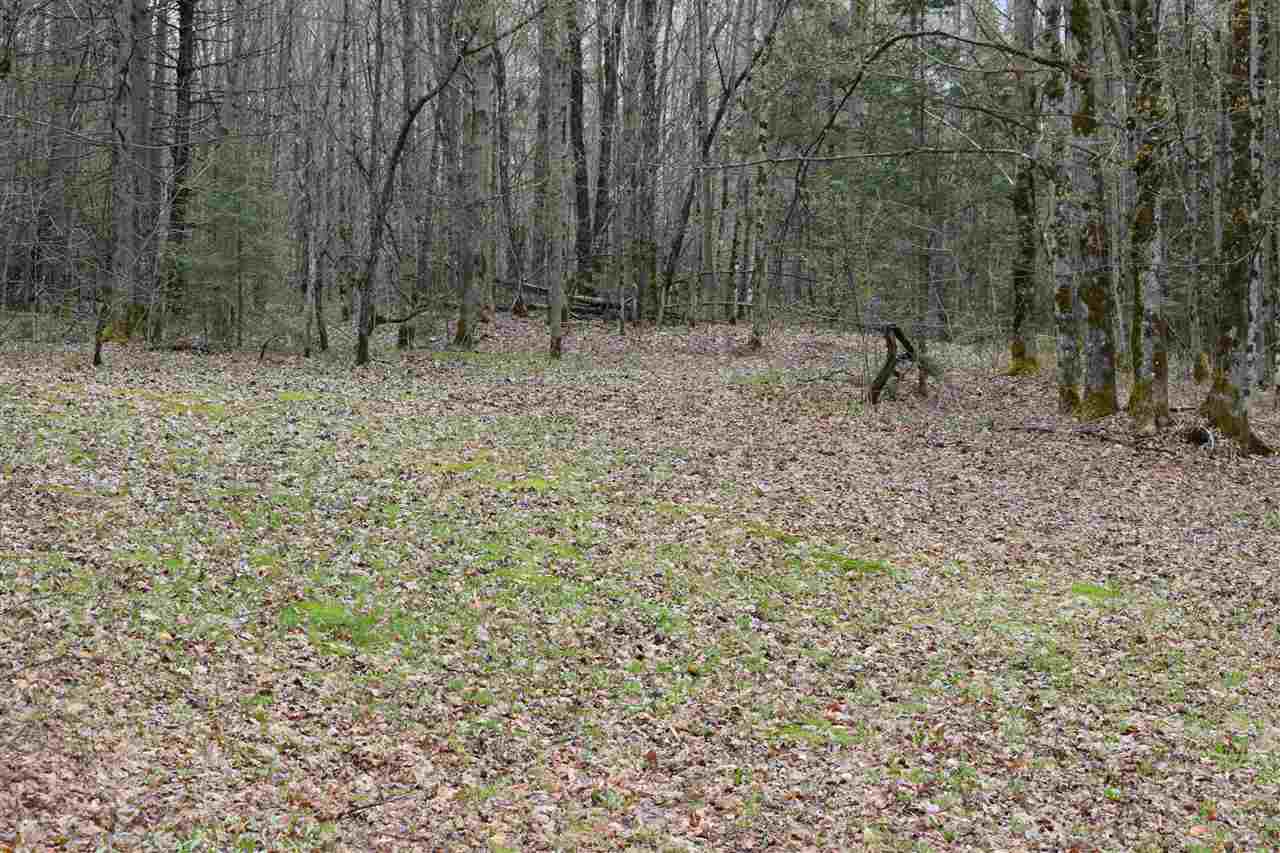 49 Gore Road Lancaster, NH 03584 - Photo 32 of 32