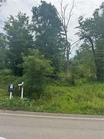 a view of a garden with a fountain