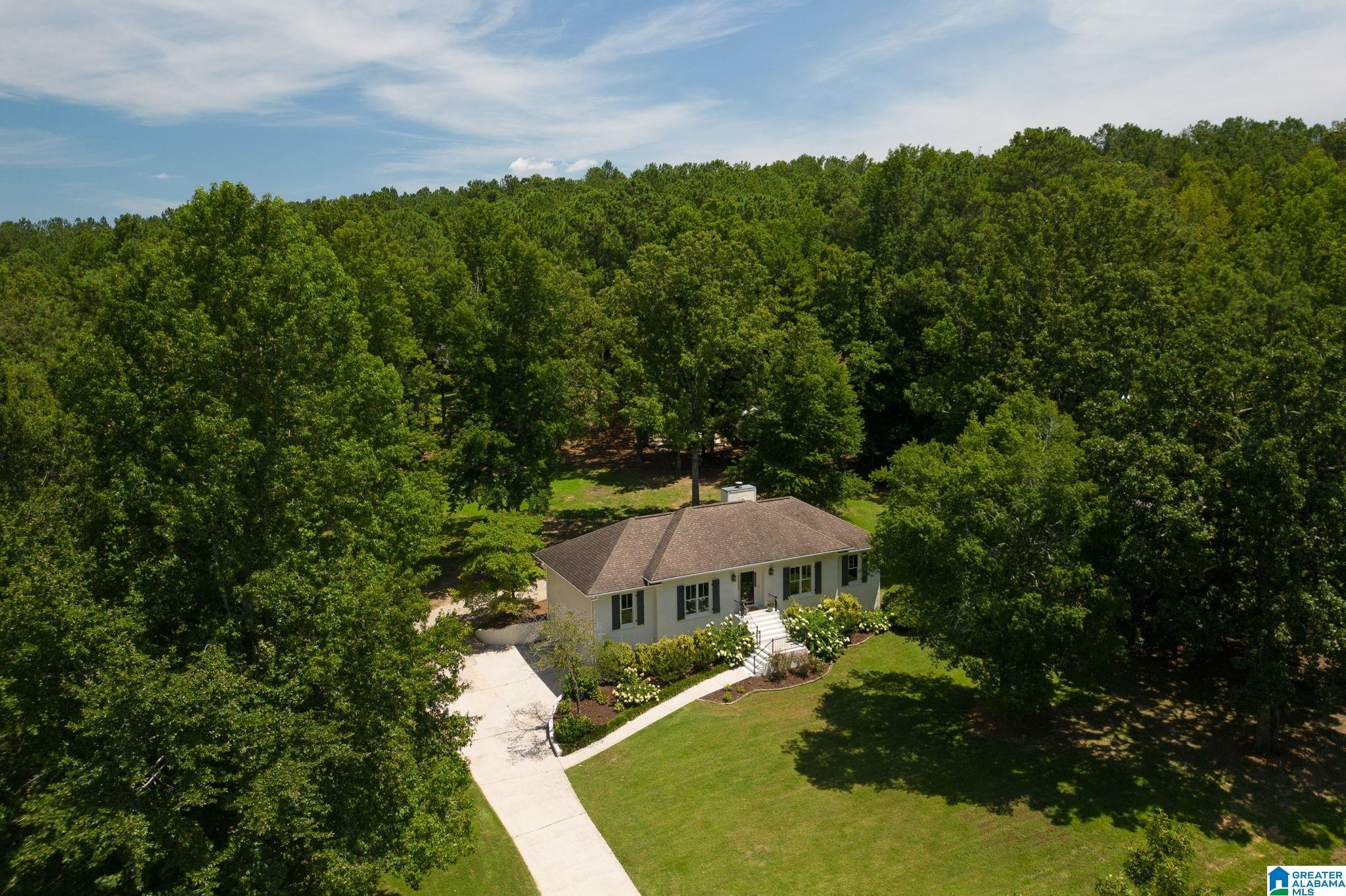 132 Chestnut Lane Helena, AL 35080 - Photo 42 of 59