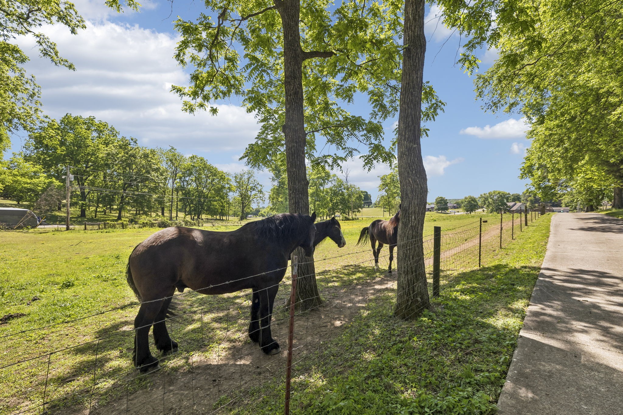 660 Allisona Road Eagleville, TN 37060 - Photo 53 of 87 Gallery Image 53
