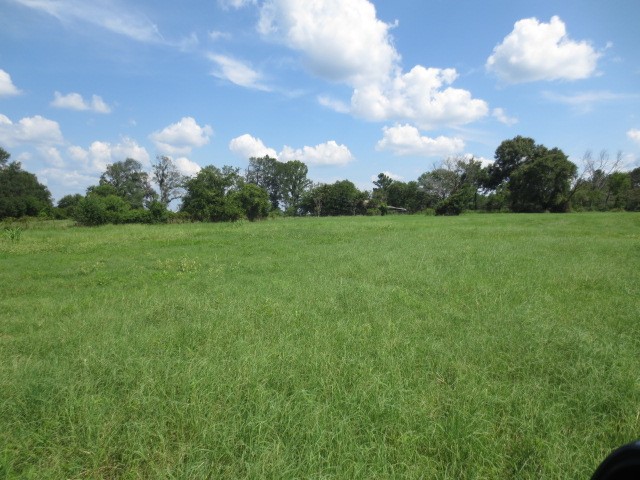 143 Piney Woods Road Trinity, TX 75862 - Photo 12 of 29