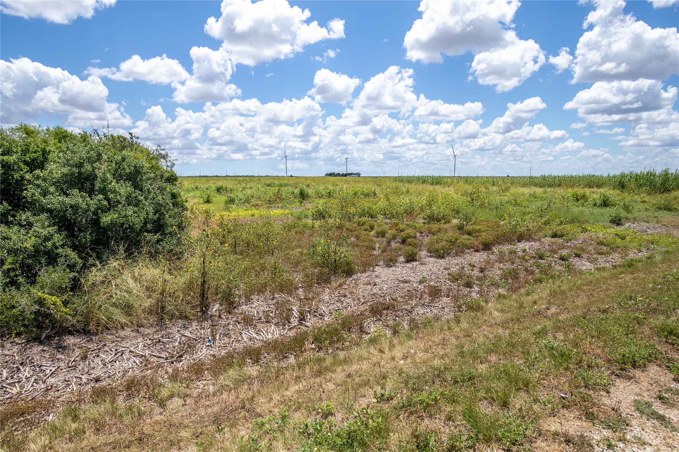 0 County Road 647 Mathis, TX 78368 - Photo 36 of 40 Gallery Image 36