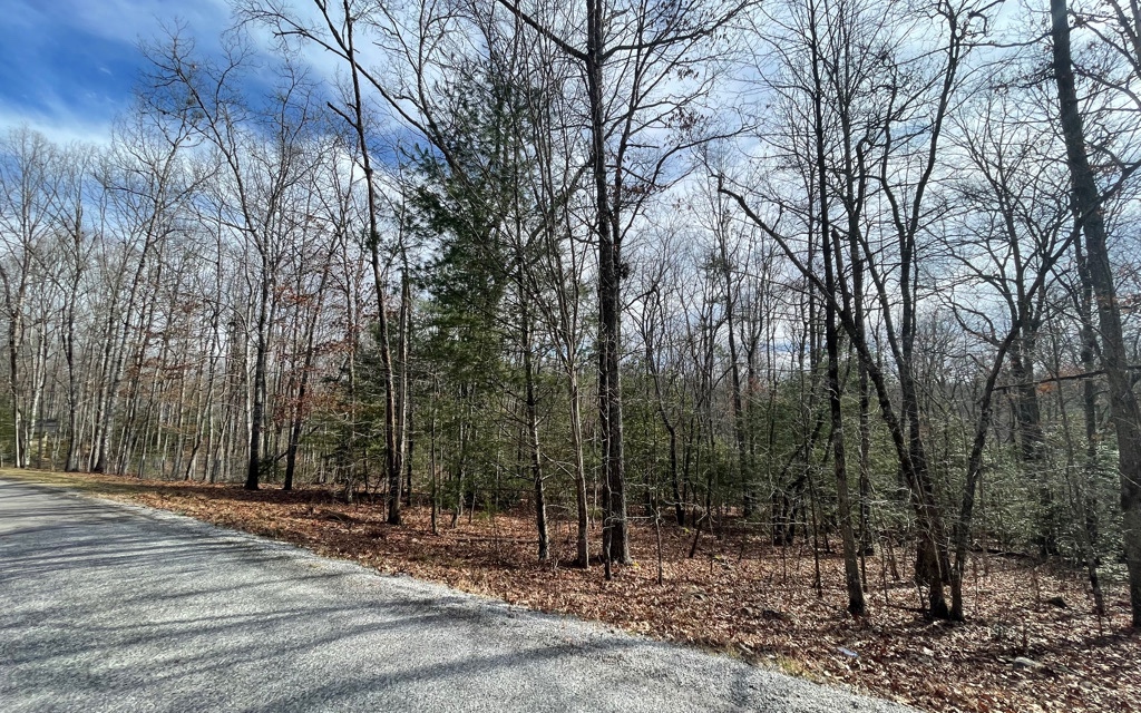 5.9-ac Voylestown Road Morganton, GA 30560 - Photo 14 of 22 Additional View
