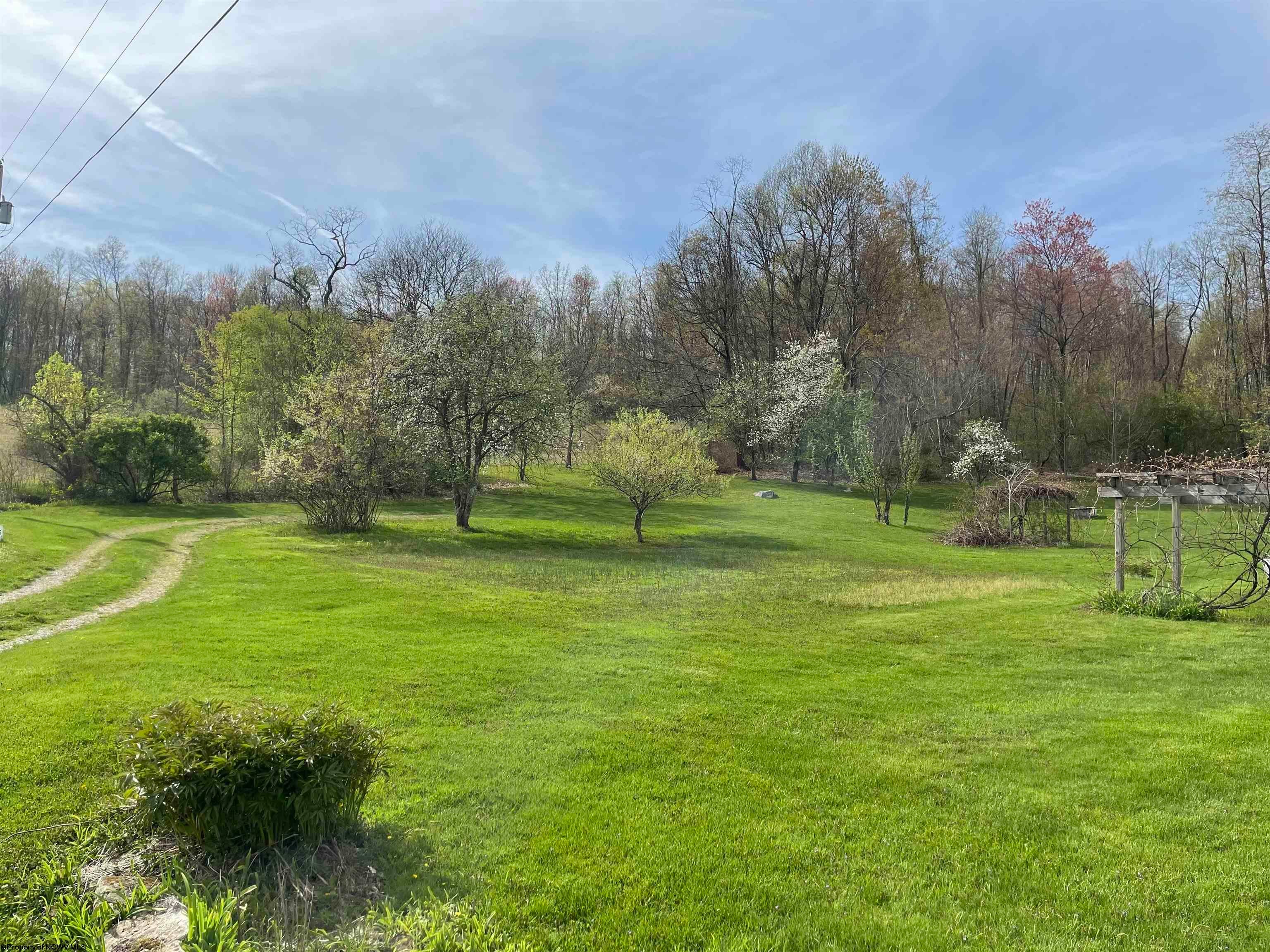 2175 Pell Road Kingwood, WV 26537 - Photo 11 of 28 Gallery Image 11