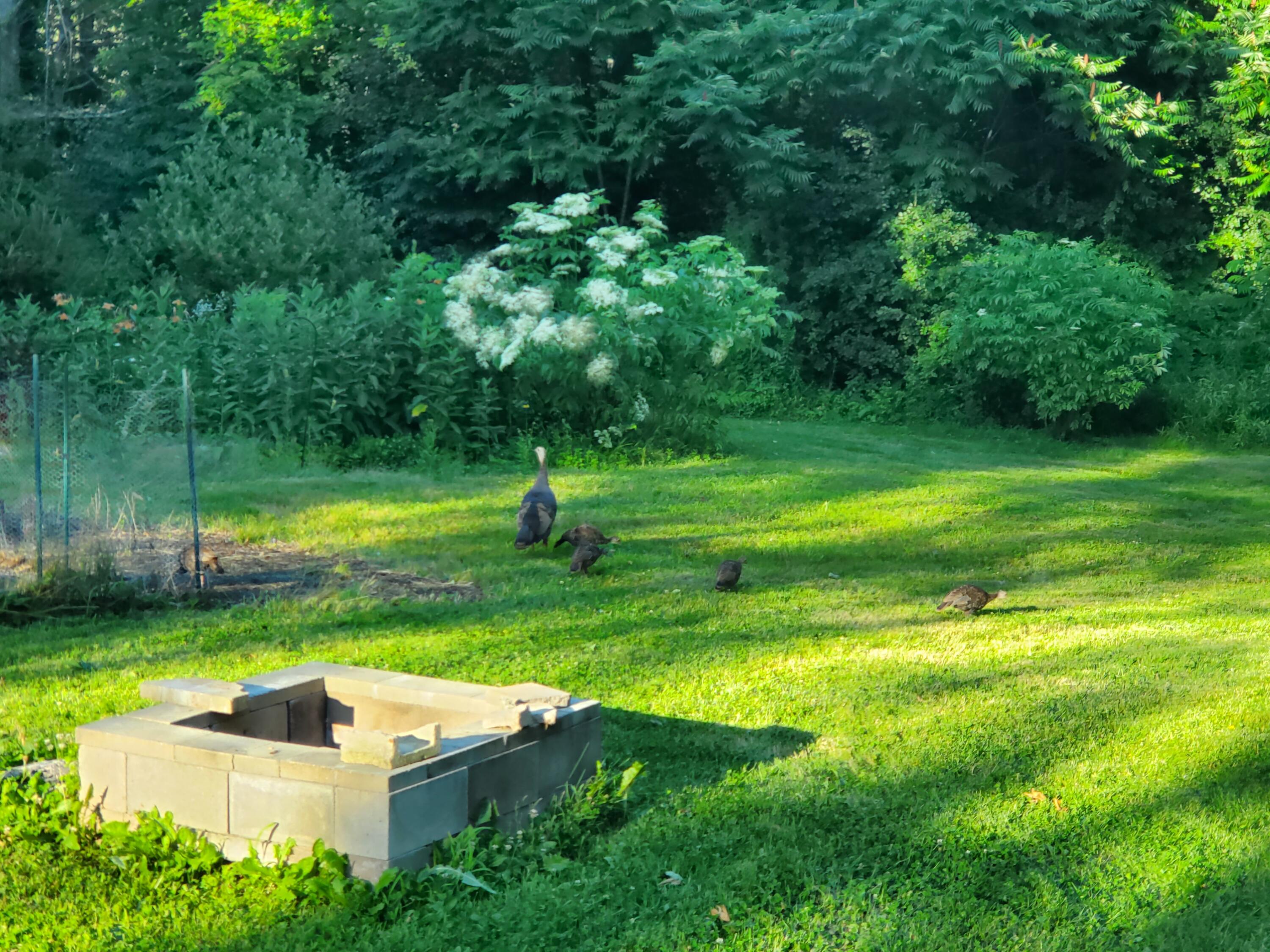 56 Durham Road Brunswick, ME 04011 - Photo 11 of 68 sc (4)