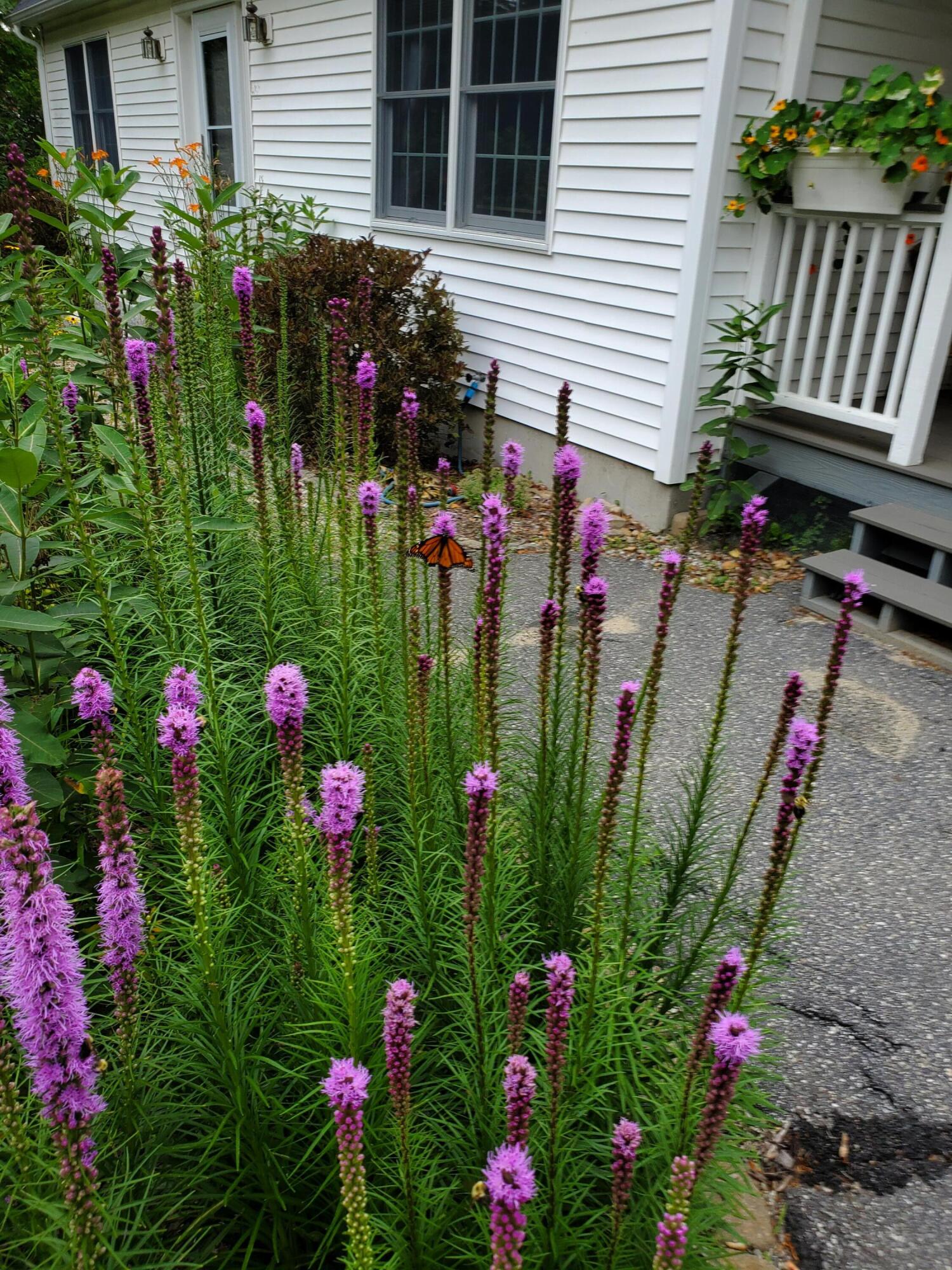 56 Durham Road Brunswick, ME 04011 - Photo 14 of 68 sc (3)