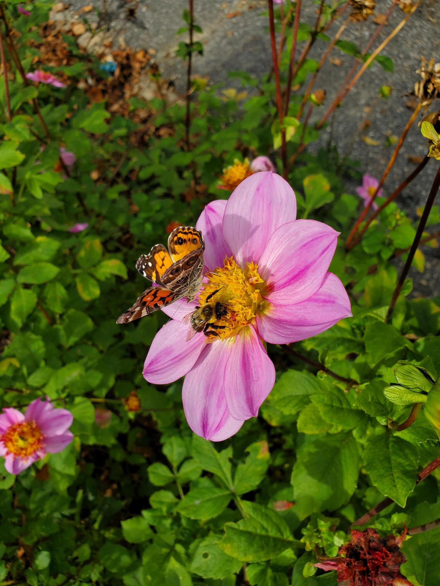 56 Durham Road Brunswick, ME 04011 - Photo 15 of 68 sc