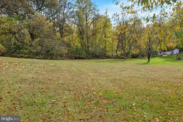 a view of a field with an trees