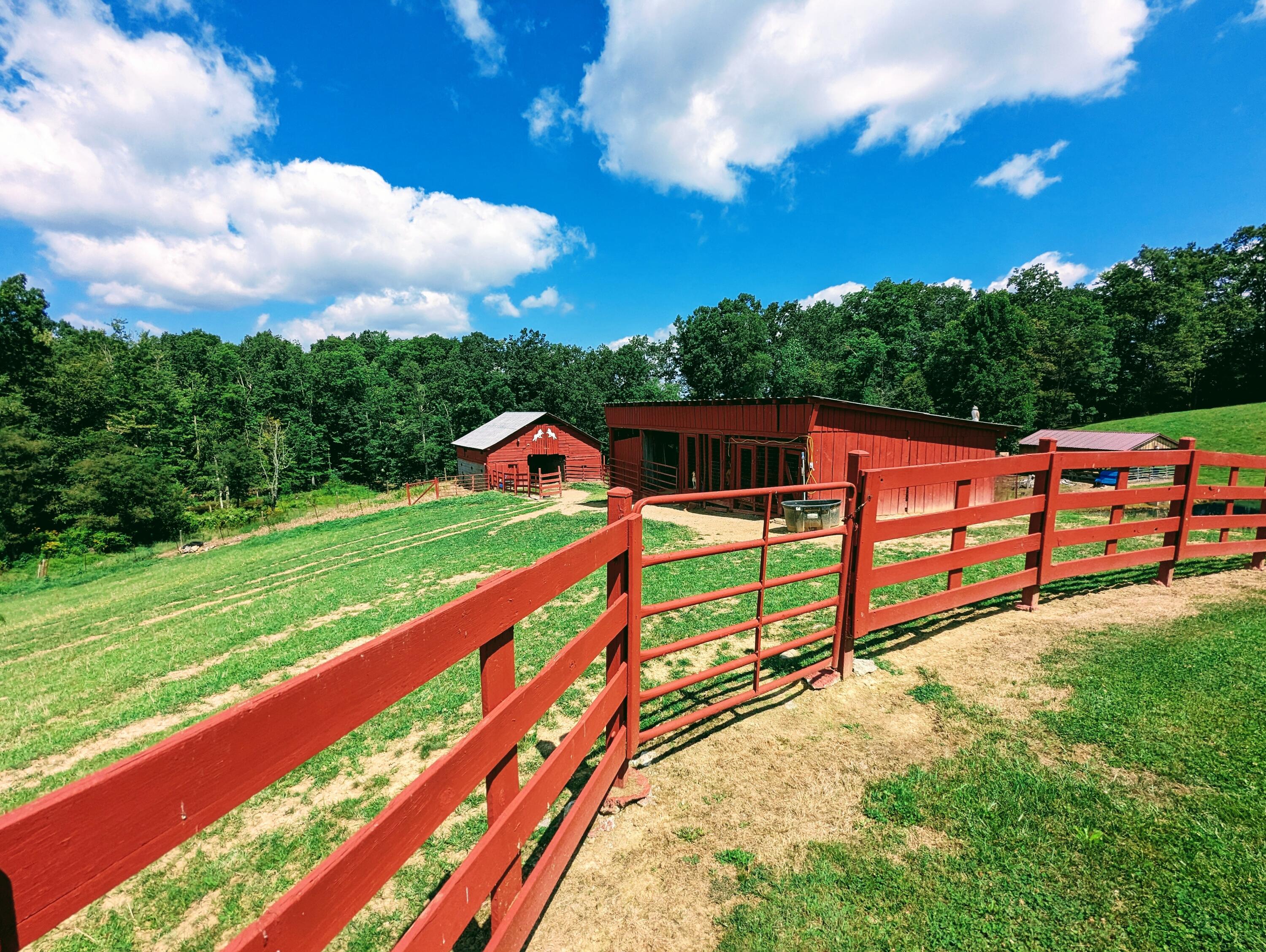 3190 DC Caney Ridge Road Clintwood, VA 24228 - Photo 23 of 87 PXL_20230818_160737963