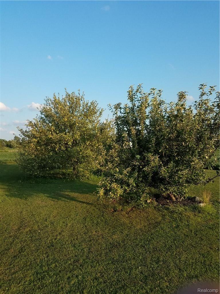 1360 Hubbard Road Monroe, MI 48161 - Photo 4 of 24 20180828_192316.jpg