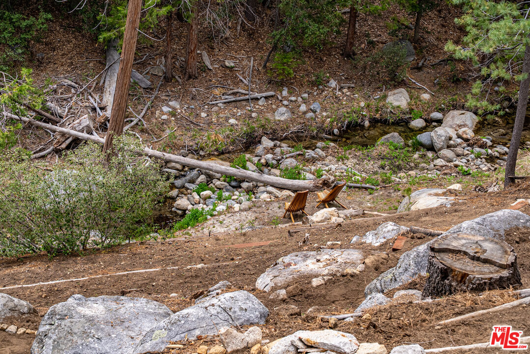25445 Fern Valley Road Idyllwild, CA 92549 - Photo 27 of 45 a view of a tree with a yard