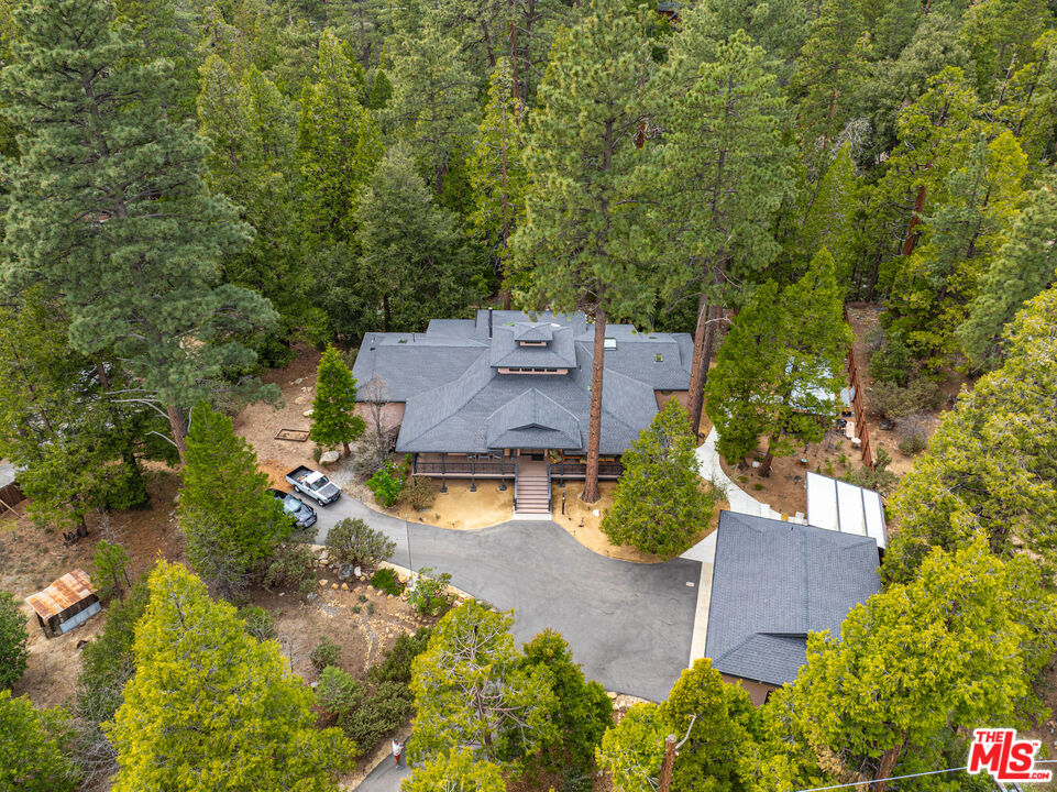 25445 Fern Valley Road Idyllwild, CA 92549 - Photo 44 of 45 an aerial view of a house with yard and green space