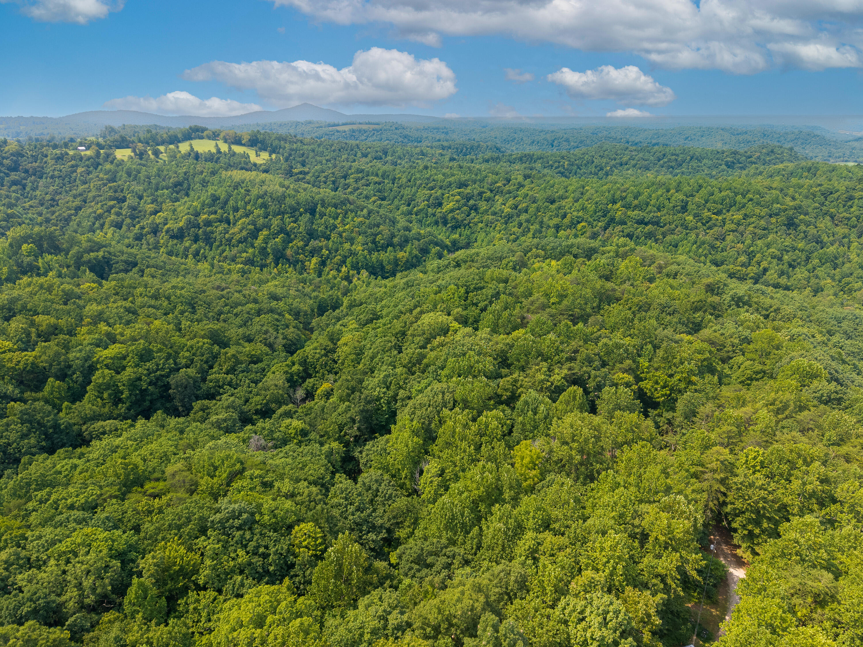 3271 Henson Creek Road Liberty, KY 42539 - Photo 53 of 58 3271 Henson Creek Road-53