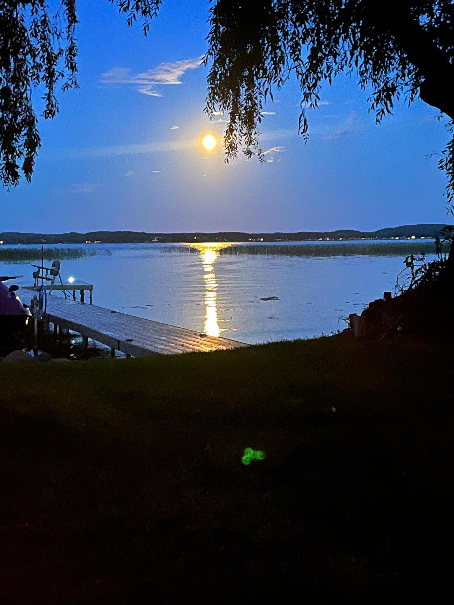 46747 Poss Beach Road Pelican Rapids, MN 56572 - Photo 76 of 79